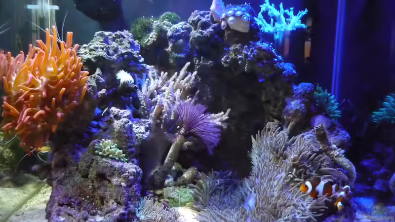 Abendstimmung von Red ( Jürgen ) (3)