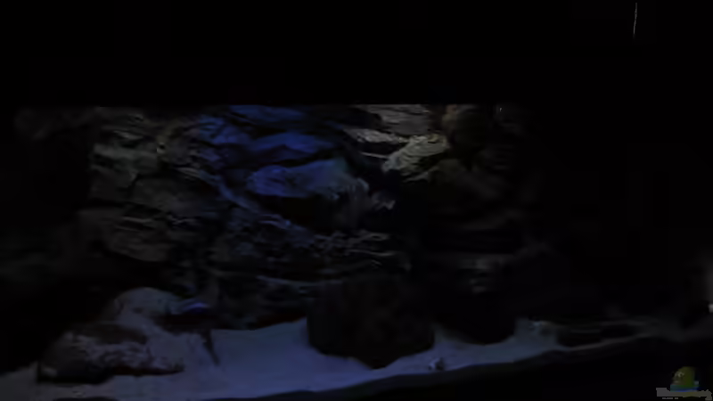 Abendstimmung von The Duke of woods (15)