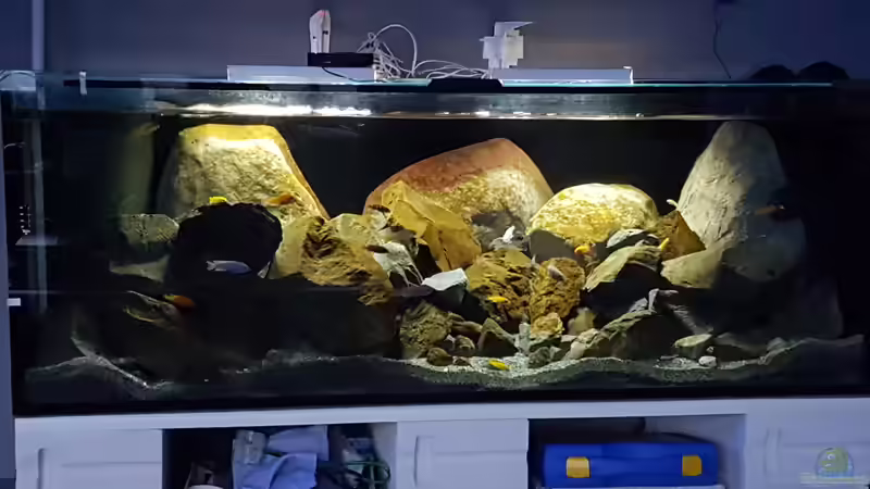 Abendstimmung von Thomas0902 (4)