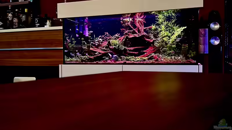 Abendstimmung von Tim1979 (4)