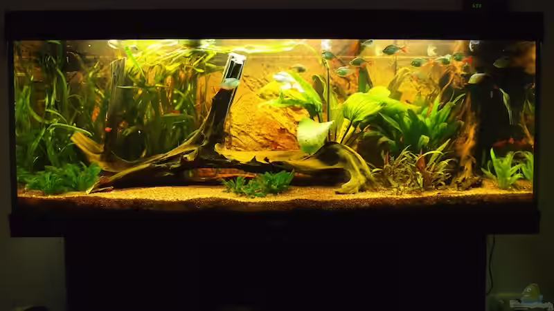 ABENTEUER Umrüstung eines Juwel Rio 400 auf LED-Beleuchtung