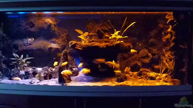 Abenteuerland von Couro (1)