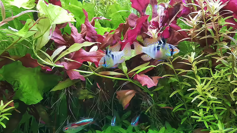 Aber jetzt passt alles... von odin 68 (168)