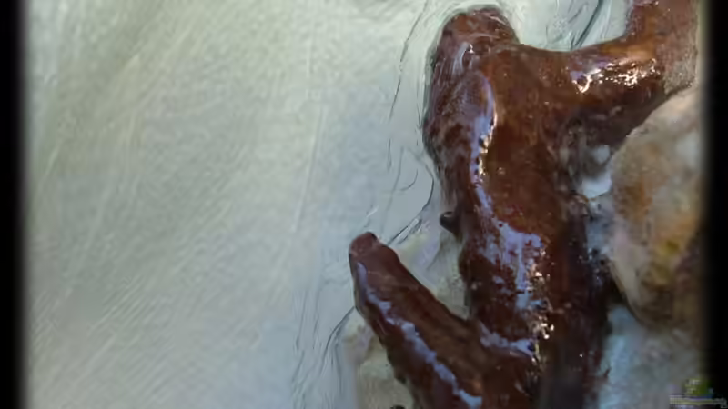 abgedichtet... von Palo (22)