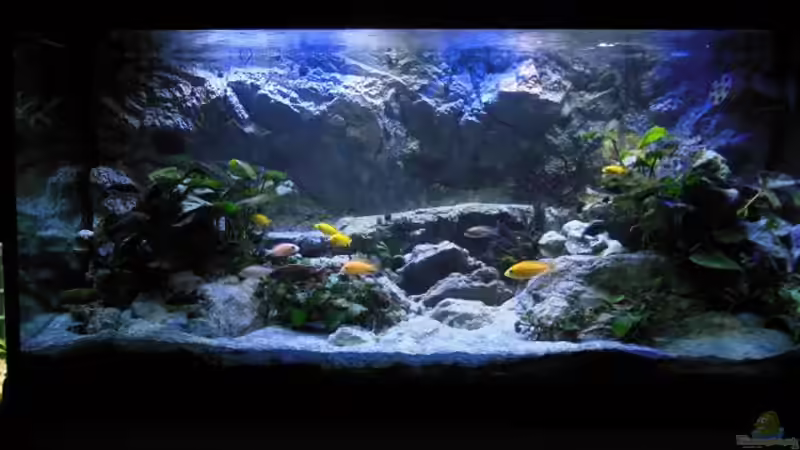 abgedunkelt 1 von tomwu (49)