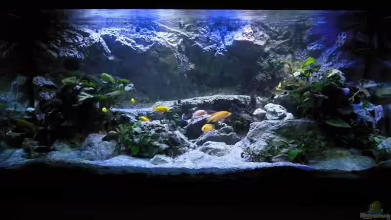 abgedunkelt 2 von tomwu (50)