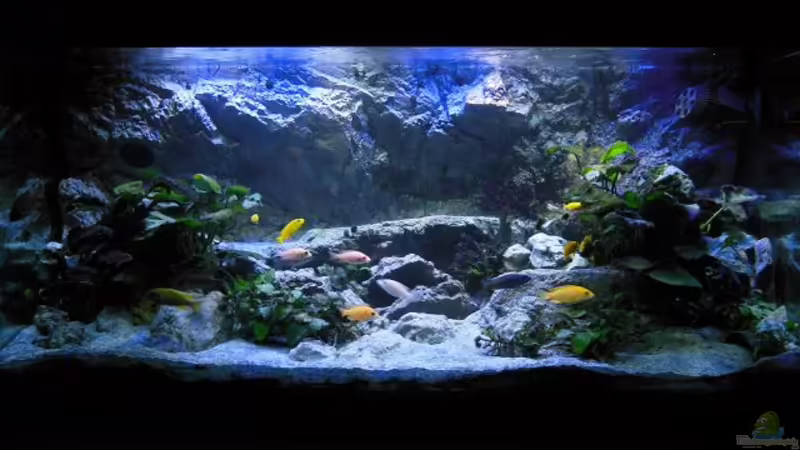 abgedunkelt 3 von tomwu (51)