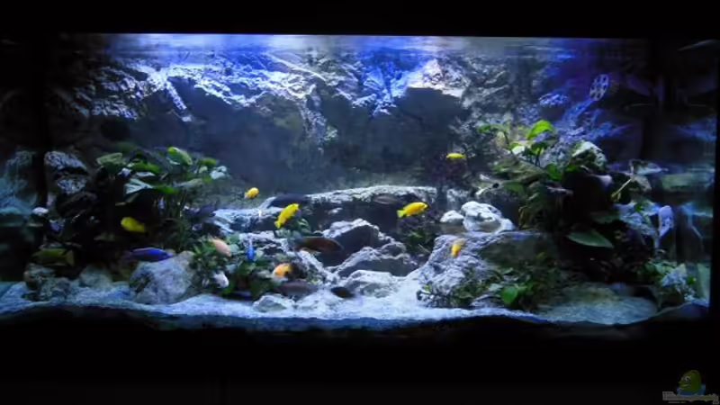 abgedunkelt 5 von tomwu (53)