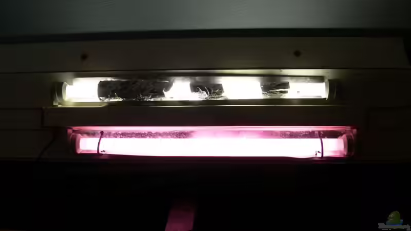 Abgedunkelt mit Alufolie nicht mehr vorhanden von DominikZ (24)