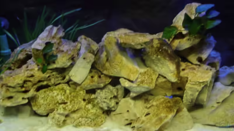 Abgedunkelt von Julian S. (10)