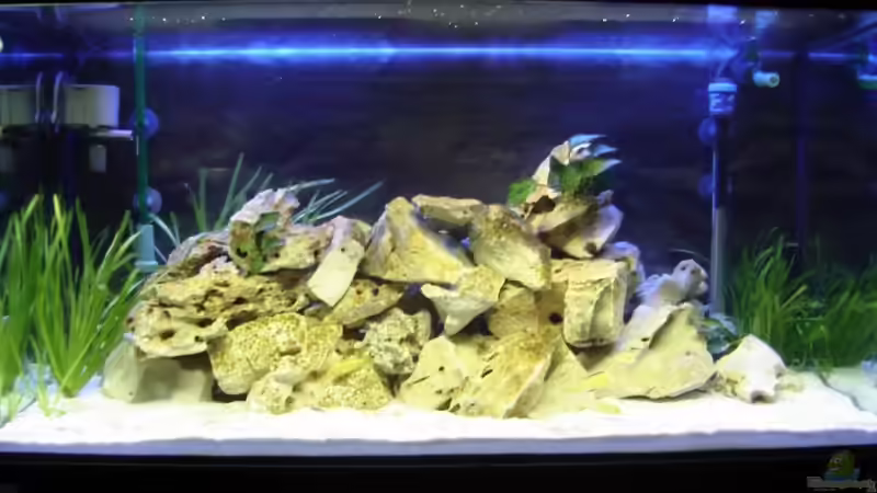 Abgedunkelt von Julian S. (4)