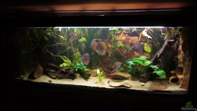 Abgedunkelt von maxarl (11)