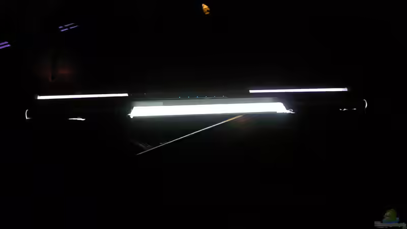 abgedunkete Röhren von Hr.Lampe (18)