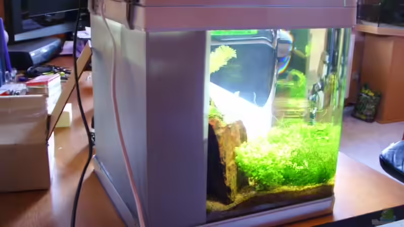 Abgeklebter Innenfilter von Maggus (4)