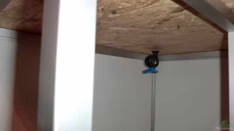 Ablass von Dynnarts (3)