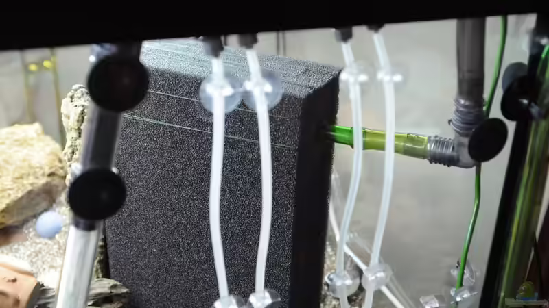 Ablauf am HMF (Variante 2016) von Peter Vlasaty (38)