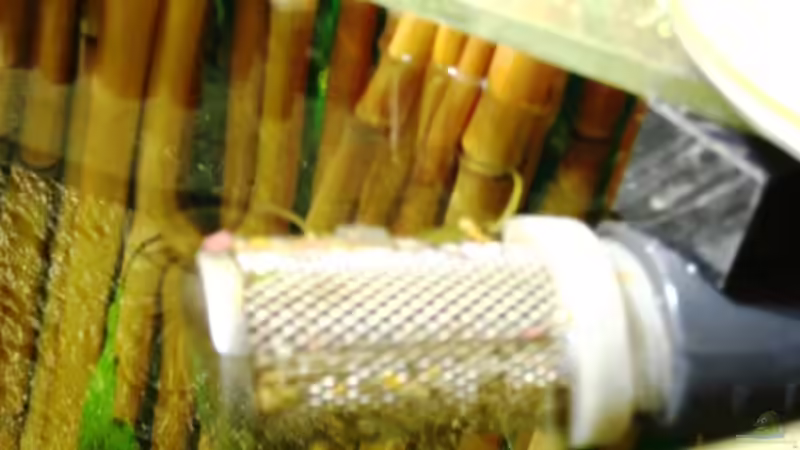 Ablauf Filterbecken von Me)-(@niC ©® (32)