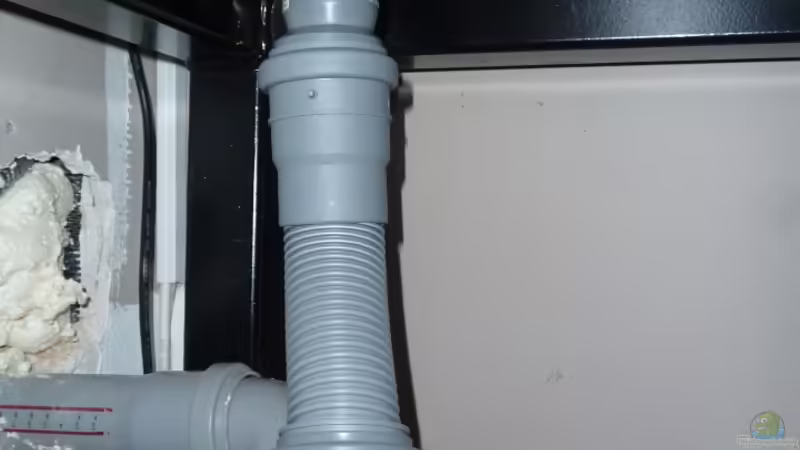 Ablauf mit Syphon von Lippi (23)