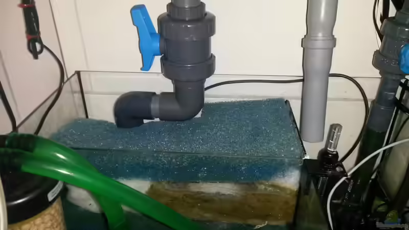 Ablaufkasten, Fließbettfilter... von Truthahnmann (13)