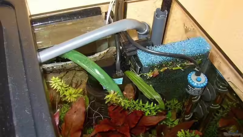 Ablaufschacht,Schnellfilter (Powerhead), Heizer von Jan Kersten (7)