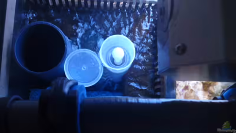 Ablaufschacht von oben  von Klaus M. (15)