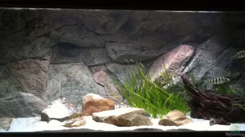 Abnehmendes Taglicht von TheToxicAvenger (24)