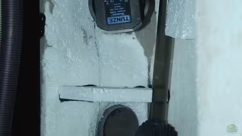 Absauger, Strömungspumpe Tunze Turbelle Stream 6080 = 8500 l/h von Klaus Lischka (34)