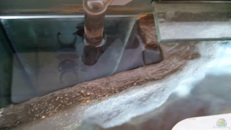 Absaugraum von Roman Cavelty (6)