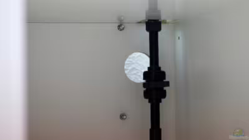 Absaugrohr rechte Seite von Frank Chelaifa (11)