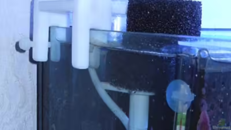 Abschäumer Bubble Magus NAC QQ. von Rolf Mohr (9)