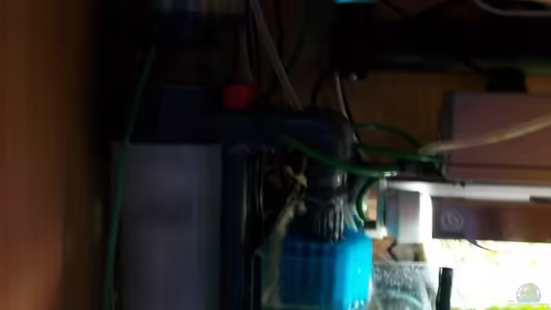 Abschäumer.Ist zwar Noname aber funktioniert von Christian Schröter (7)