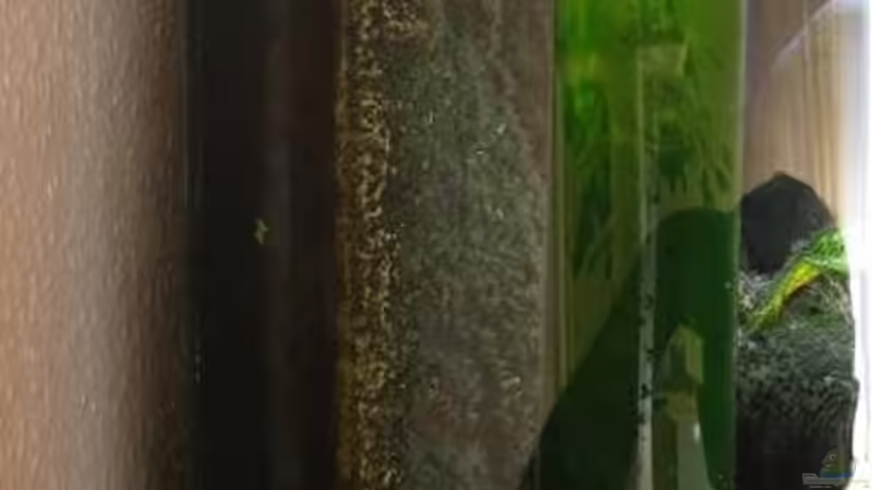 Abschäumer jetzt im hinteren eck von Cali20 (13)