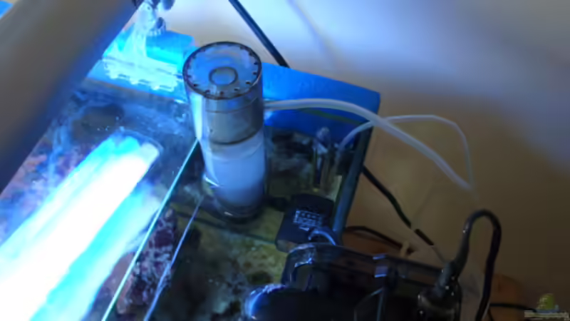 Abschäumer von B1gT4nk (24)