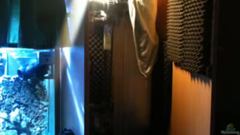 Abschäumer von Flevus (8)