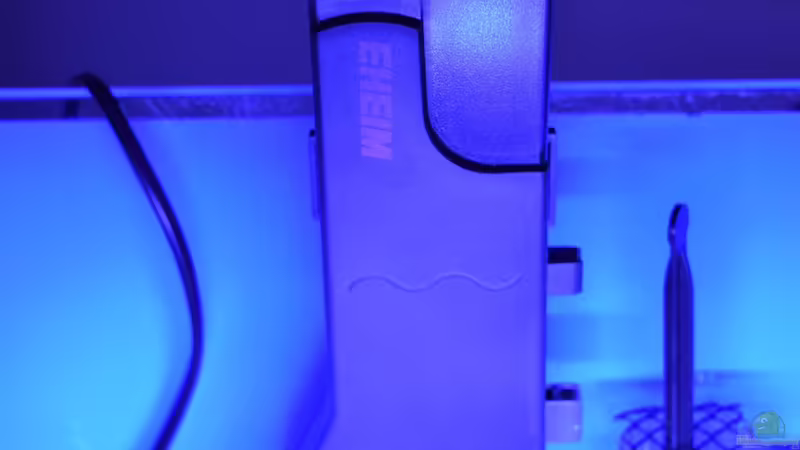 Abschäumer von Junglist (13)