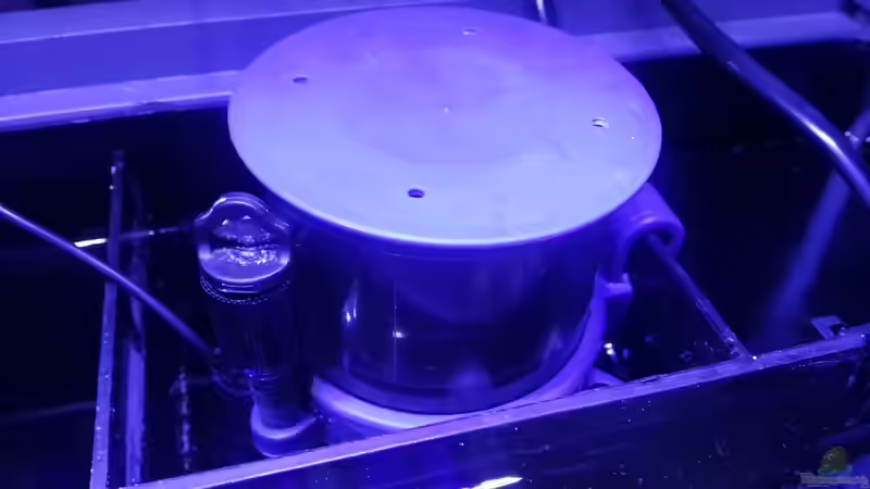 Abschäumer von Mathias Schlett (15)