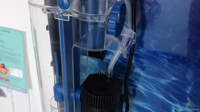 Eiweißabschäumer im Aquarium (Einrichtungsbeispiele mit Abschäumer)