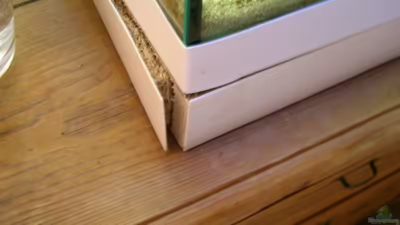 Absturzgefahr! August 2012 von Fredo Fuss (19)