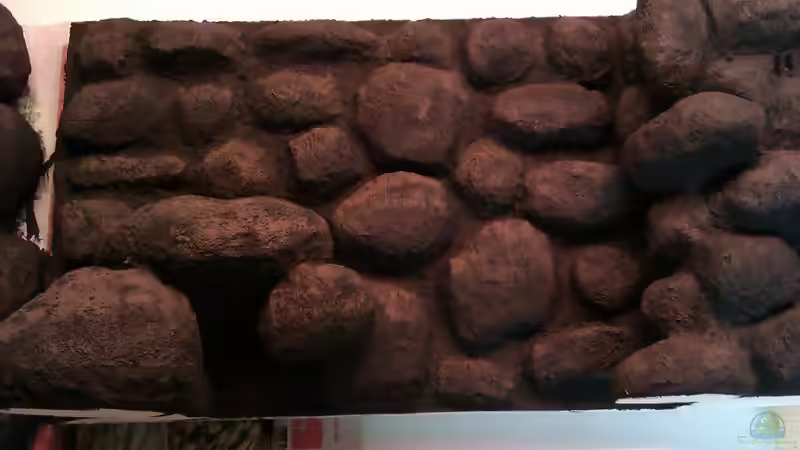 Abtönfarbe aufgebracht von Der Michel (4)