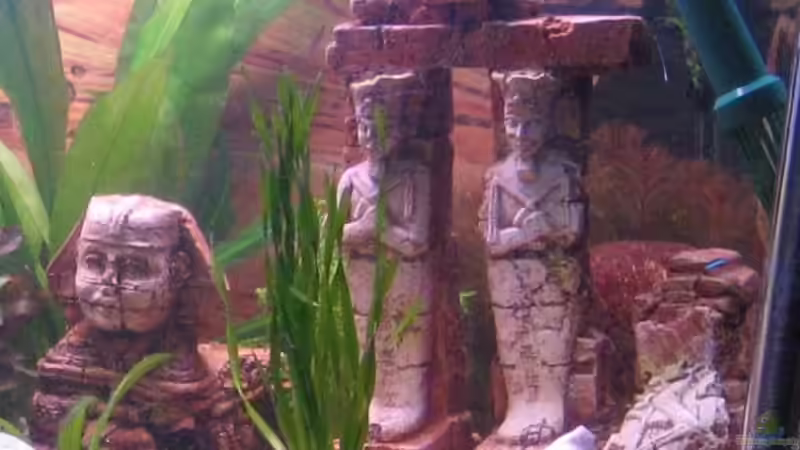 Abu Simbel und Sphinx von Gaspode (16)