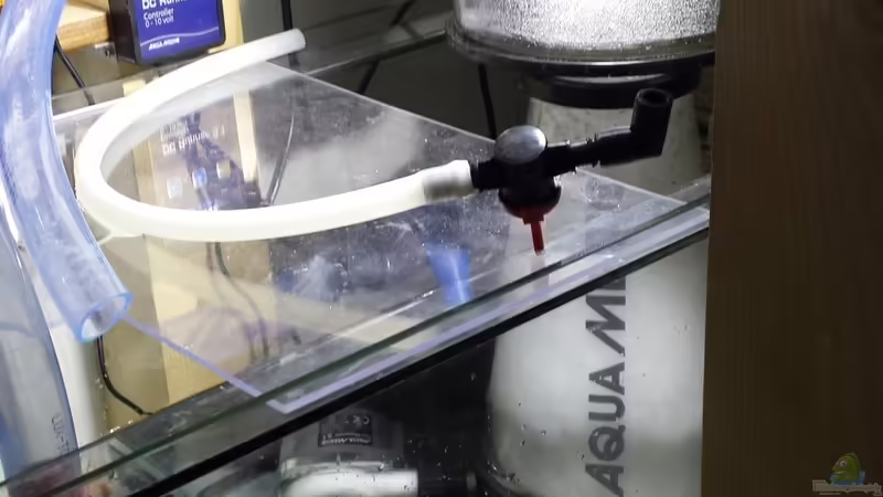 Eiweißabschäumer im Aquarium (Einrichtungsbeispiele mit Abschäumer)