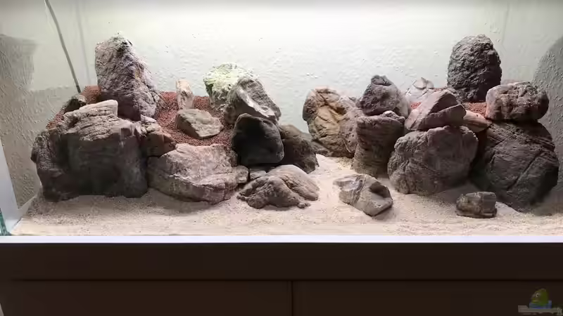 ADA La Plata Sand von Der Nicky (9)