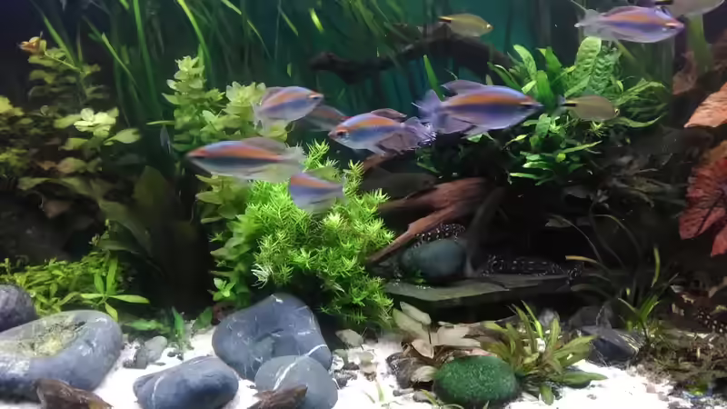 älteres Bild von Grünhexe (34)