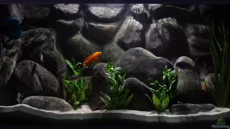 Afrika im Glas von boffix (1)