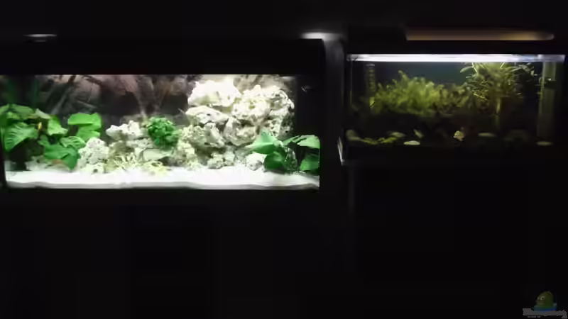 Afrika und Asien so eng zusammen ... von sofapirat (5)