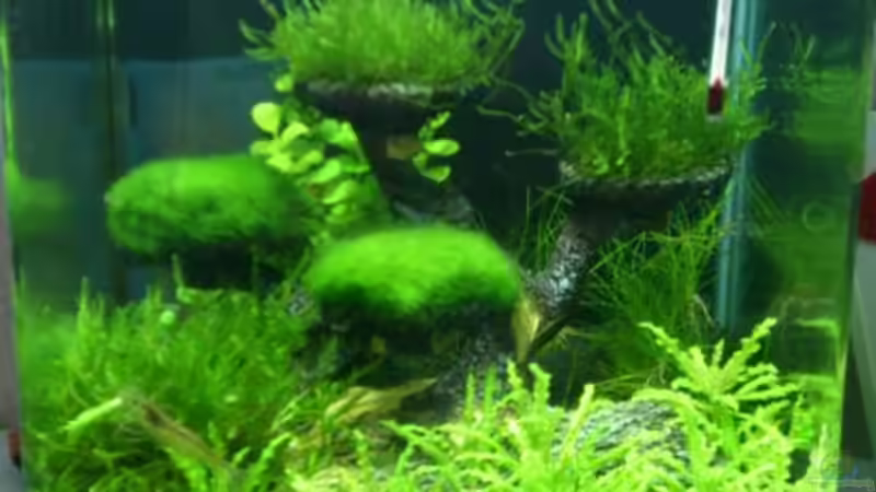 AG vorn links GW hinten links am Filter von RoZan (34)