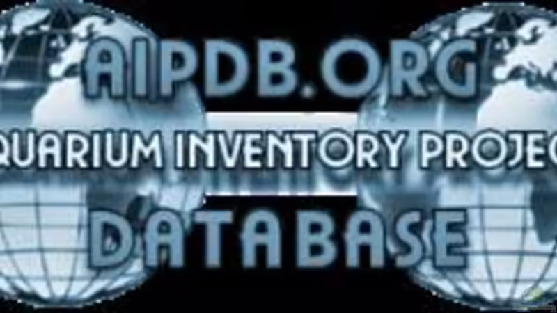 AIP Database