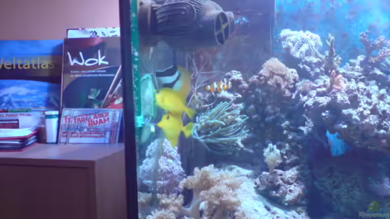 aktion gurkenvernichtung von Daniel Reichl (8)