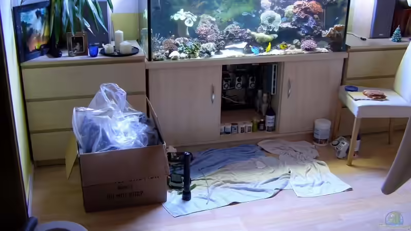 Aktion Riffhummer .-) von René Geisler (18)