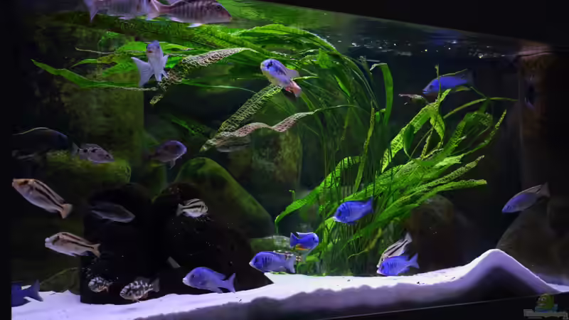 Aktualisierung 29.05.2013 von Klaus Lischka (11)